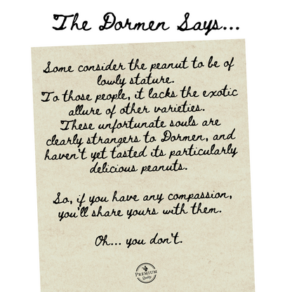 Dry Roasted Peanuts 24 x 50g Snack Pack